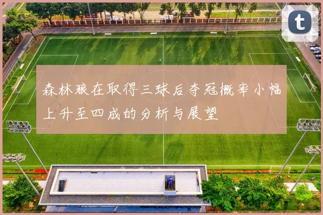 森林狼在取得三球后夺冠概率小幅上升至四成的分析与展望