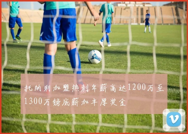 托纳利加盟热刺年薪高达1200万至1300万镑底薪加丰厚奖金