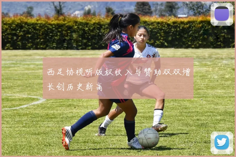 西足协视听版权收入与赞助双双增长创历史新高